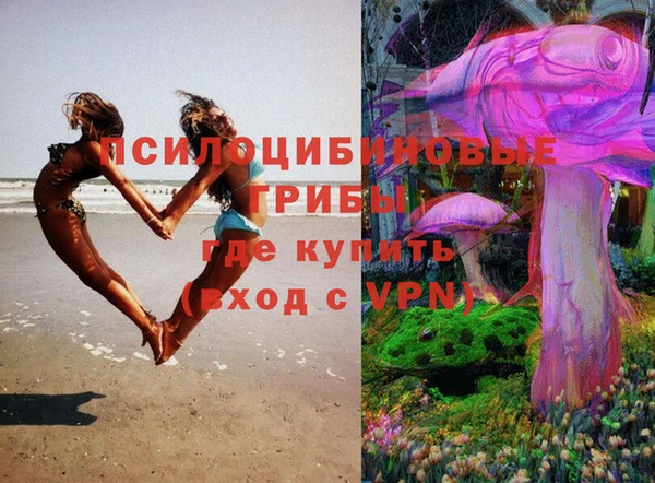 прущие крисы Армянск