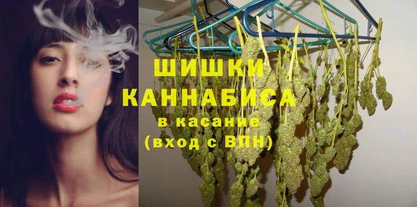 ешки Арсеньев