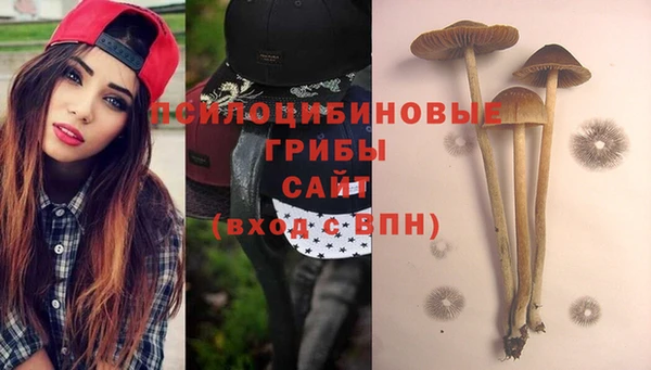 ешки Арсеньев
