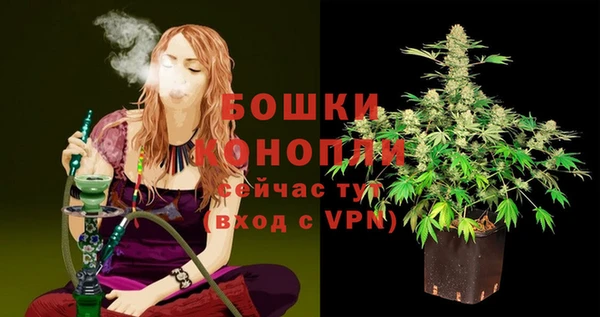 ешки Арсеньев