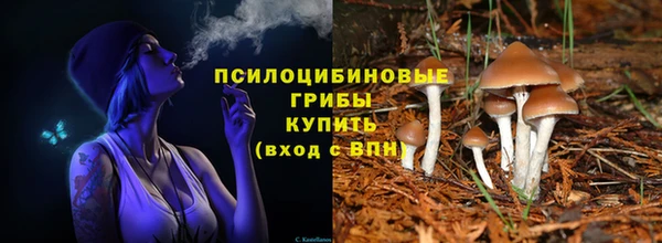 прущие крисы Армянск