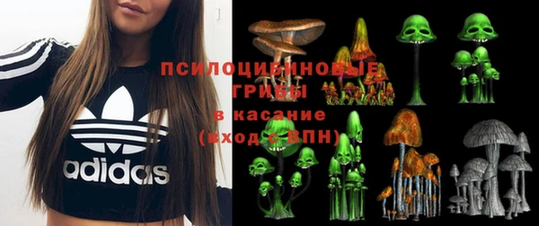ешки Арсеньев