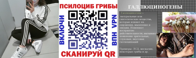 Псилоцибиновые грибы мицелий  Нижняя Салда 